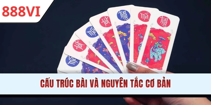 Cấu trúc bài và nguyên tắc cơ bản