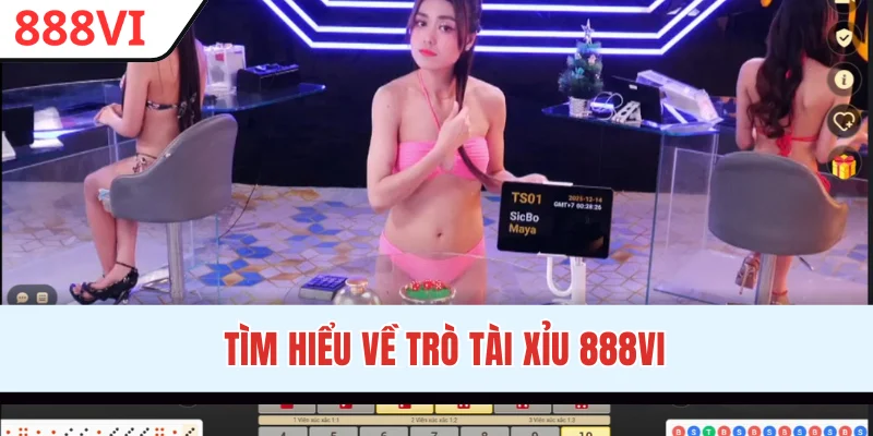 Tìm hiểu về trò Tài Xỉu 888VI